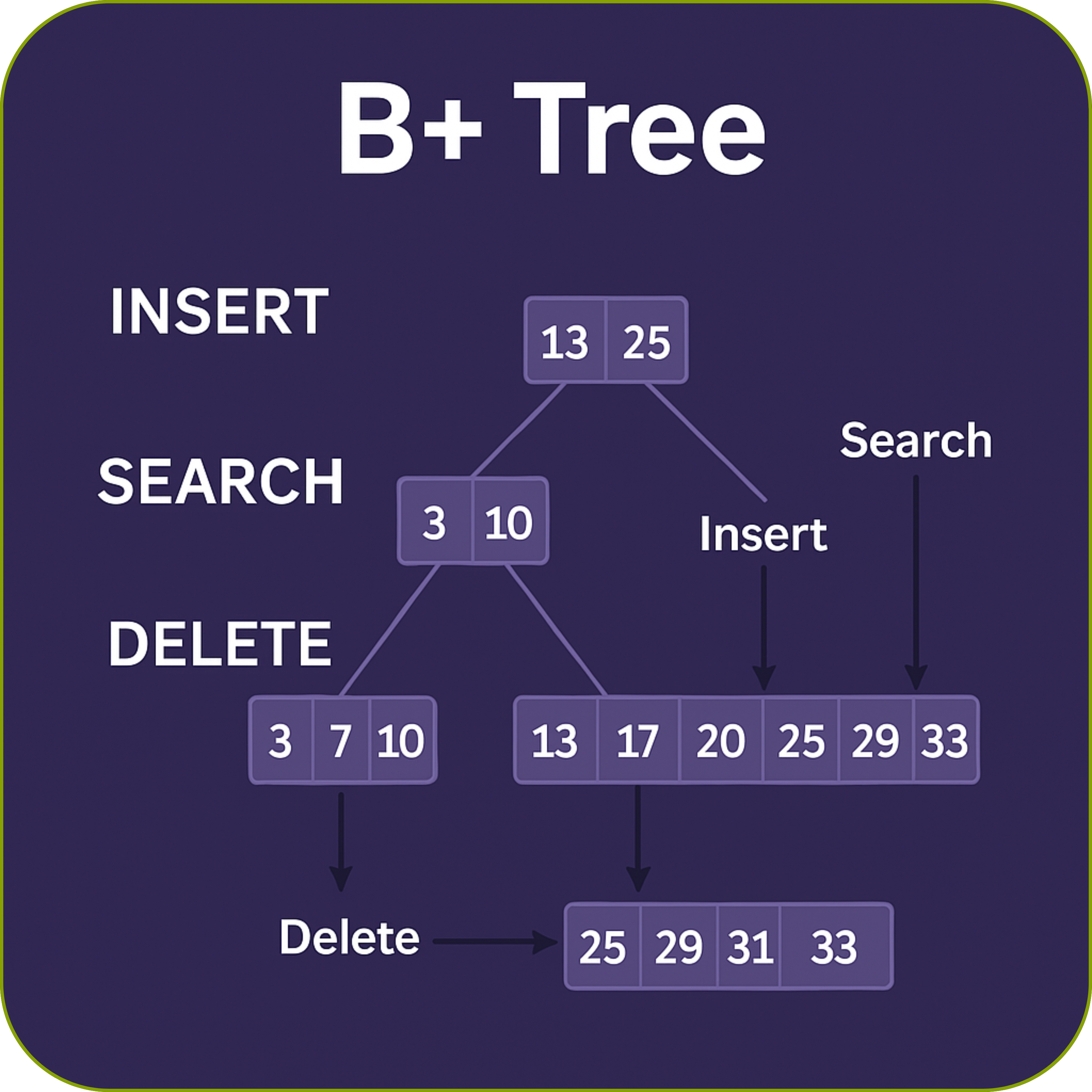 B+ Tree